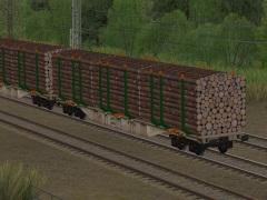 Holztransportwagen Typ Sgnss AAE mit ExTe-Rungen Erweiterungs-Set 1