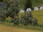 Gemischte Vegetation