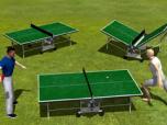 animierte Tischtennis-Spieler