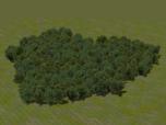 Laubwaldmodule (Sommer)