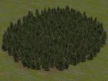 Fichtenwaldmodule