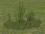 Kombinationen aus Gras, Kraut und Büsche