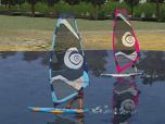 Windsurfer
