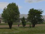 Laubbäume, Blutbuchen, Blautannen