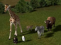 Tierpark – Wildtiere - Set 1 (V10NJR10013 ) Tierpark – Wildtiere - Set 1 (V10NJR10013 )